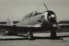 picTFChistorySirapol12AT6texan