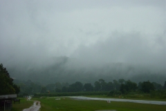 picTFCfog